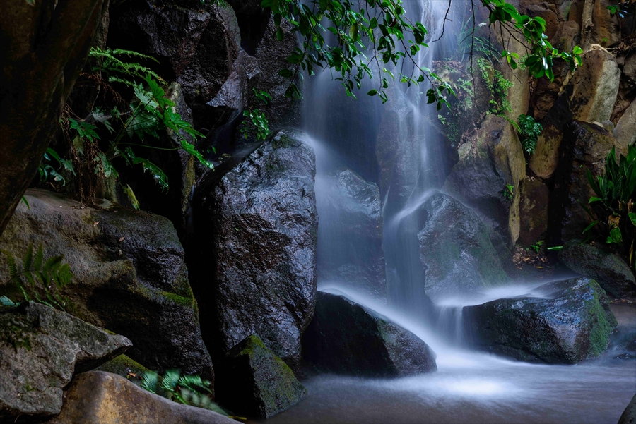 東京都　名主の滝　寝坊しても間に合う滝