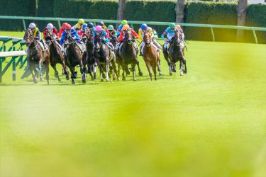 中山競馬場　競馬好きでなくても楽しめる