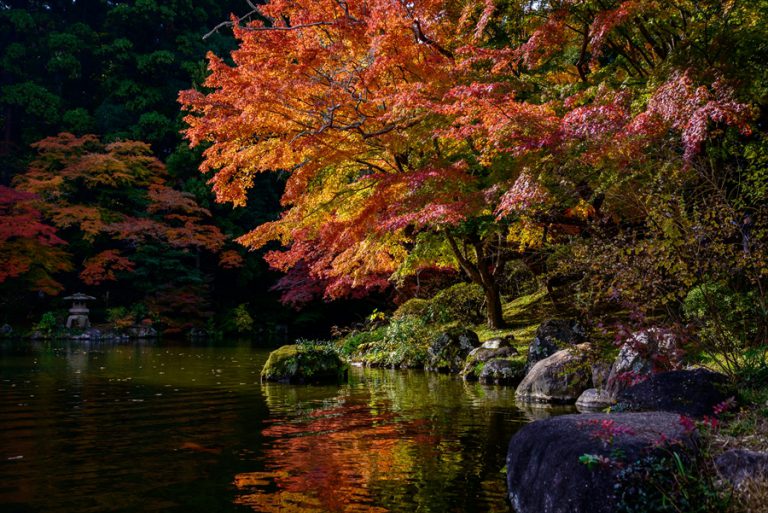 成田山公園 紅葉の名所 千葉県 あなたに見せたい景色