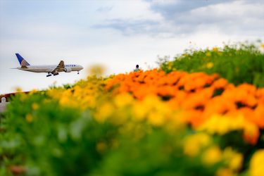 さくらの山公園　飛行機が間近に見れる　千葉県